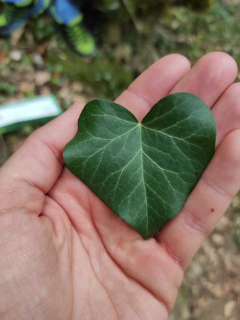 IMG 20200922 WA0001 350